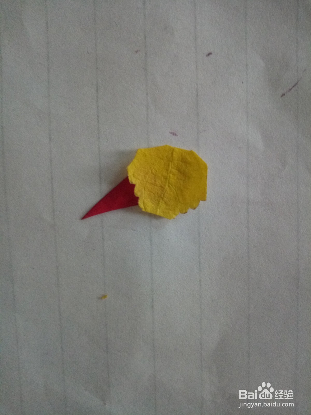 用植物手工制作长尾鸟②