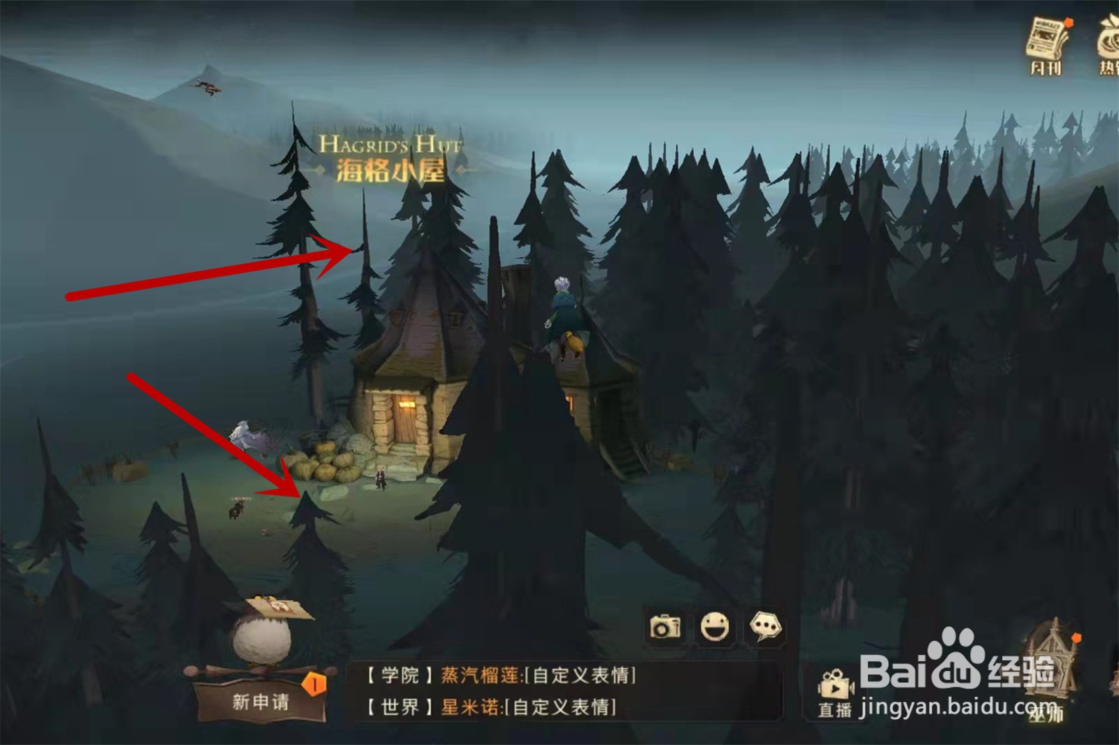 哈利波特魔法觉醒11.4拼图