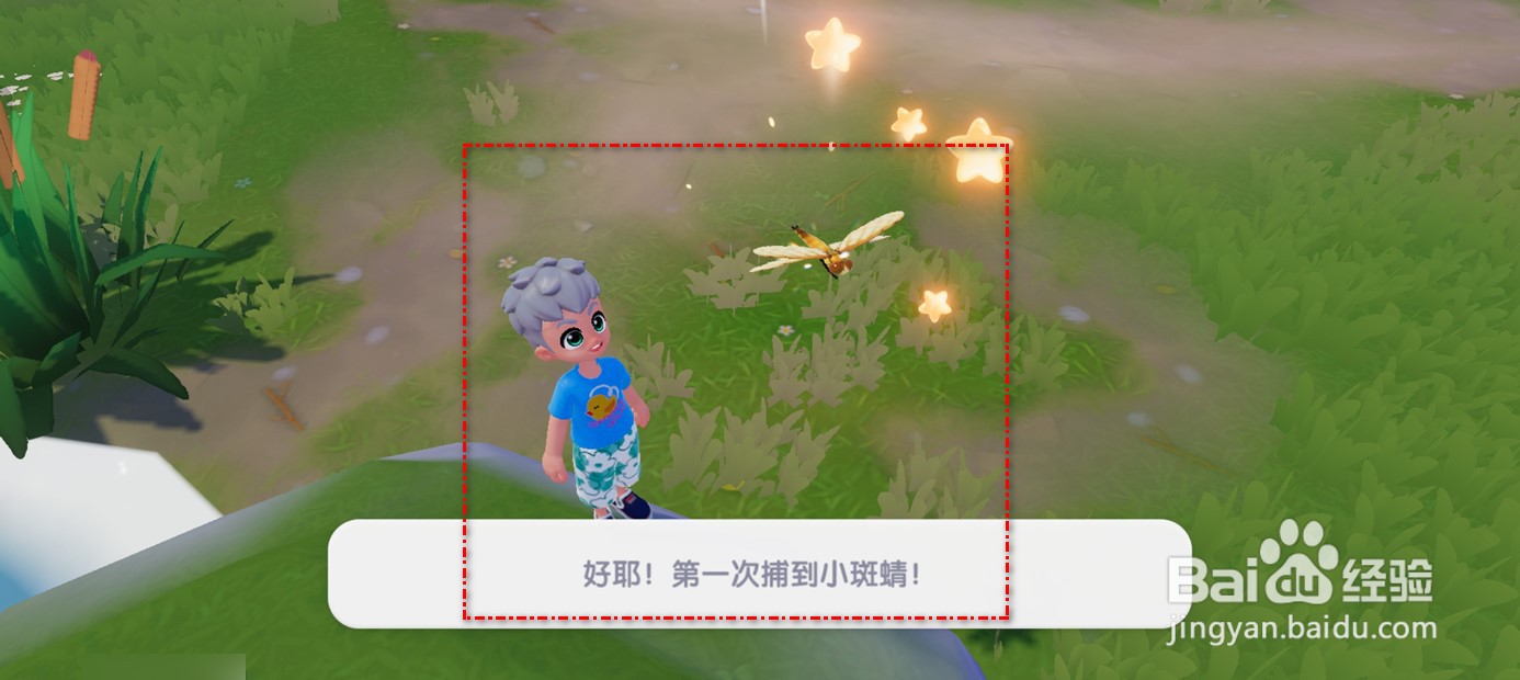 心动小镇小斑蜻如何捕捉