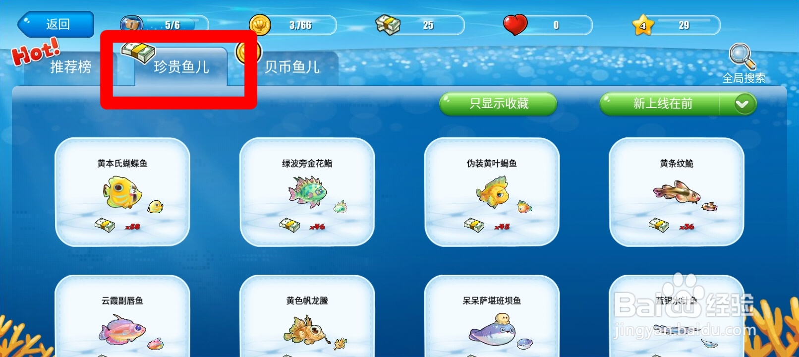 开心水族箱如何查看云霞副唇鱼的购买