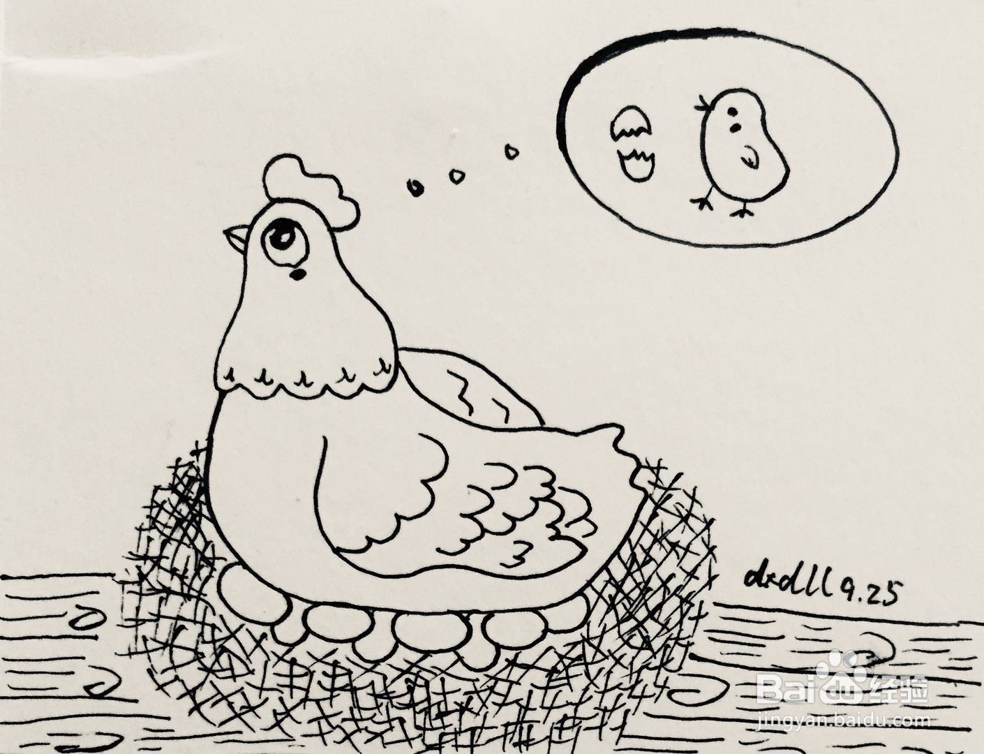孵鸡蛋简笔画图片