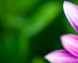 谈恋爱的几个要点