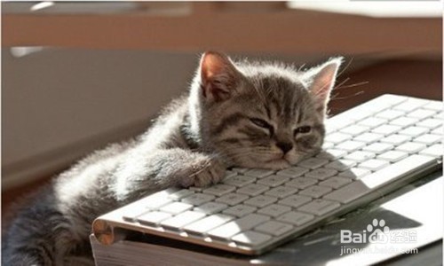 假期闲着做什么