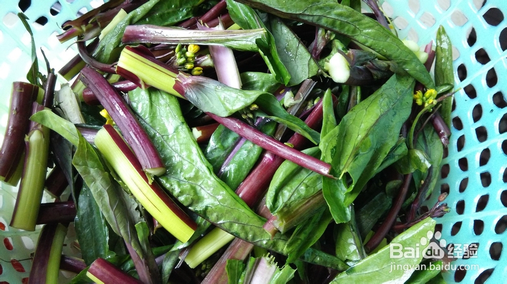 家常菜·炝炒红油菜
