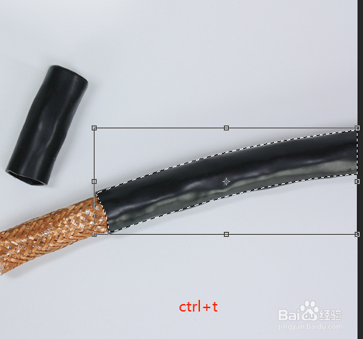 如何用ps放大照片中的一部分