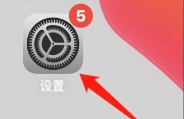 苹果手机怎么关闭低数据模式?