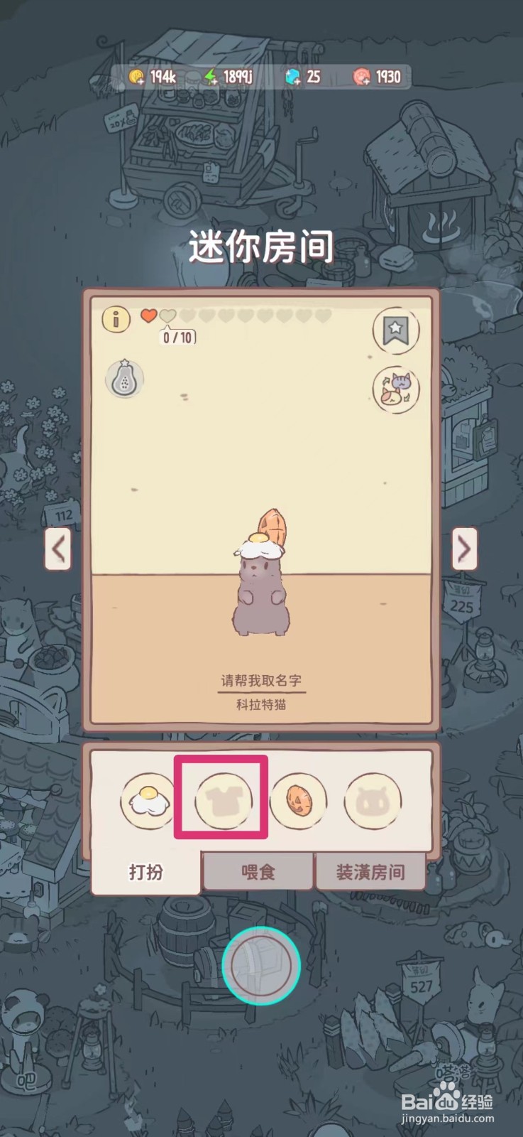 猫咪和汤如何制作西瓜衬衫