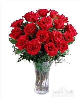 收到的玫瑰花束怎么养