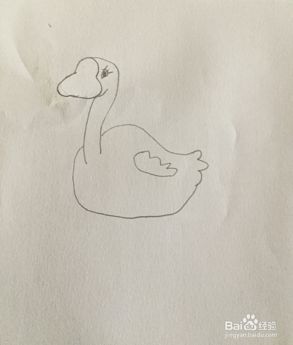 白天鹅简笔画教程