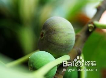如何去除脚气五个妙招