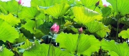 杭州游推荐全攻略