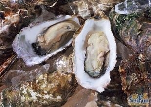 春天预防流感最有效的13种食物