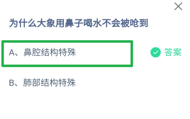 为什么大象用鼻子喝水不会被呛到?蚂蚁庄园
