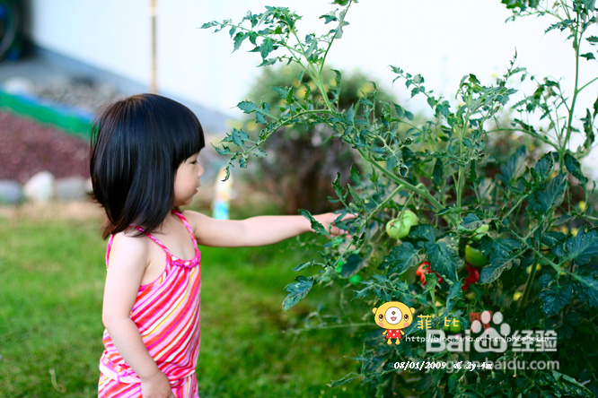 我不拒绝孩子要抱的要求（组图）