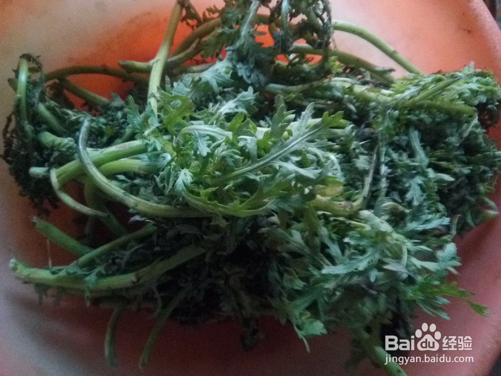 家常菜茼蒿炒鸡蛋