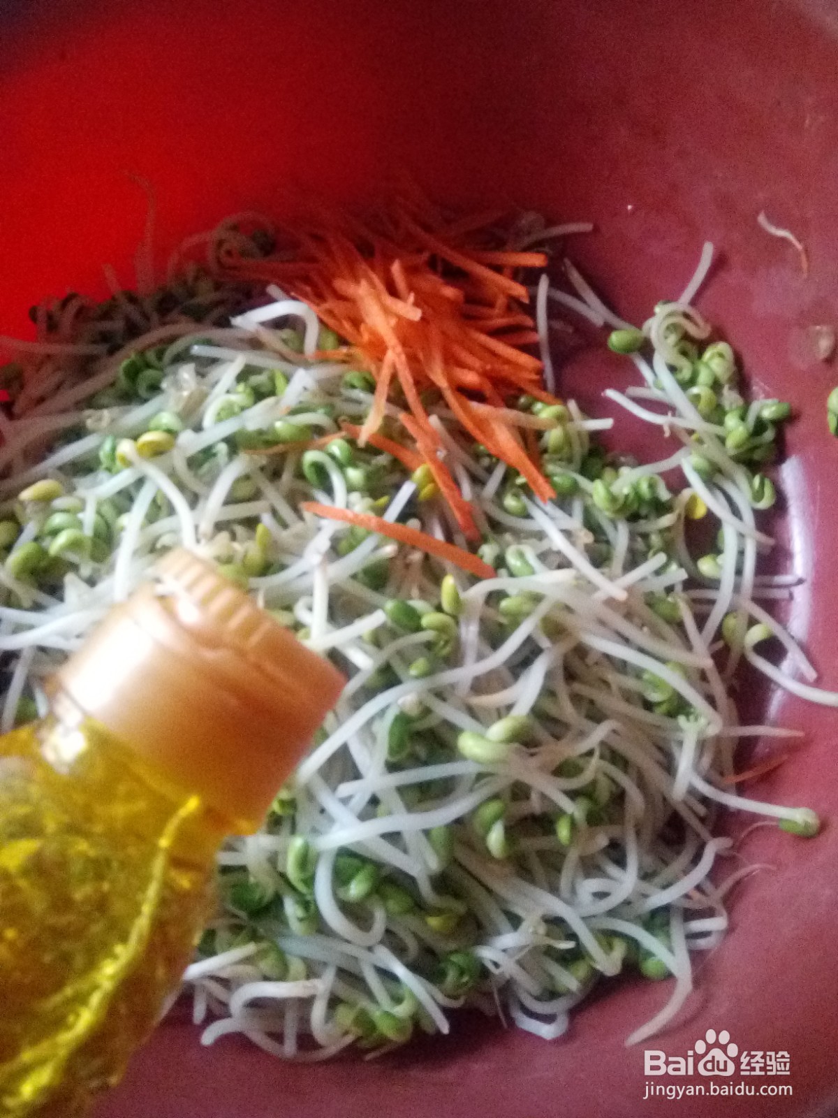 凉拌菜胡萝卜丝拌豆芽