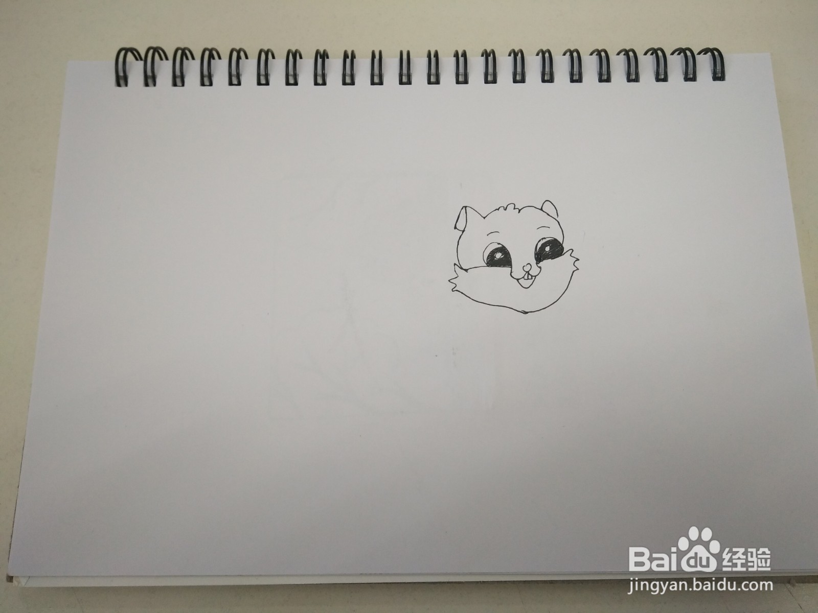 简笔画小松鼠