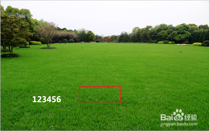 各种不同的去水印的方法