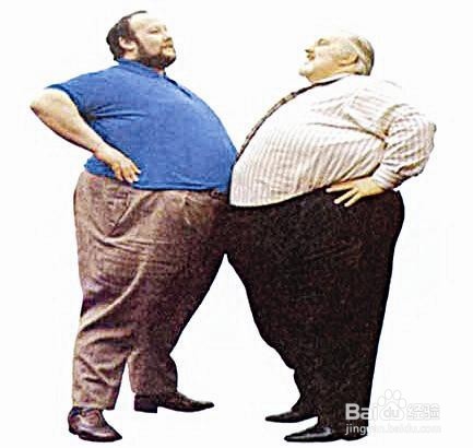 该如何有效减肥