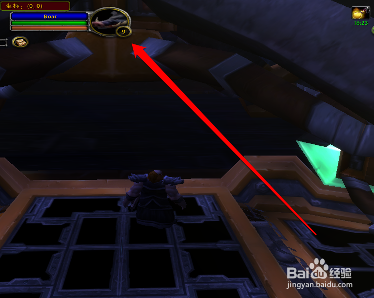 魔兽世界怀旧服猎人宝宝怎么升级