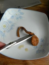 素炒黄鳝丝做法