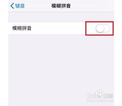 苹果11在哪里开启模糊拼音功能