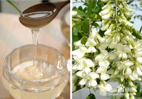 蜂蜜拌苦瓜可以减肥吗?蜂蜜苦瓜汁怎么做?