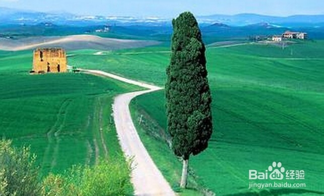 如何与QQ群成员相处融洽