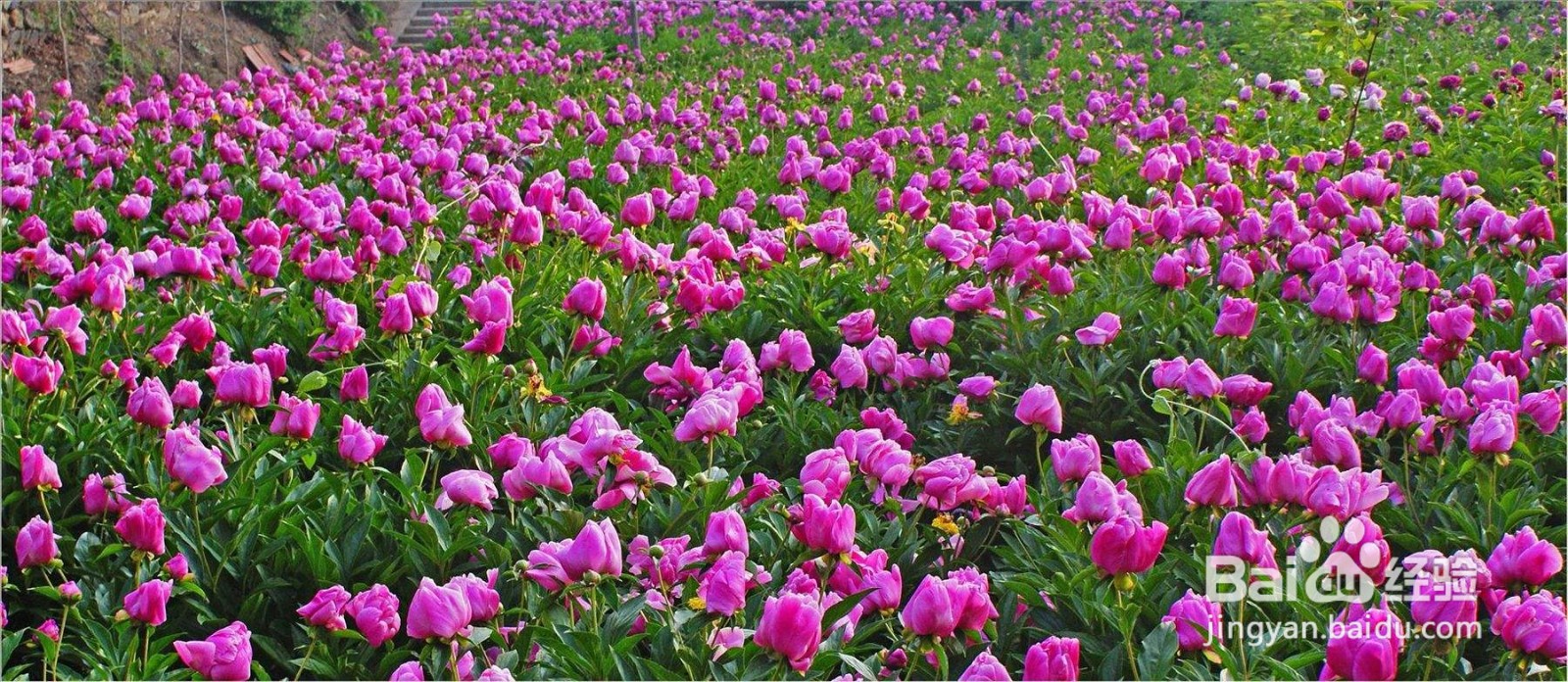 塔城周边好玩的人气旅游景点推荐