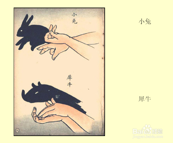 睡前跟孩子一起玩手影游戏吧