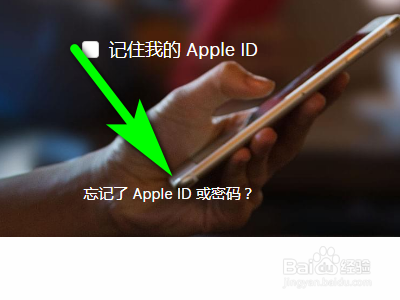 苹果手机ipad 忘记 Apple ID或密码怎么找回