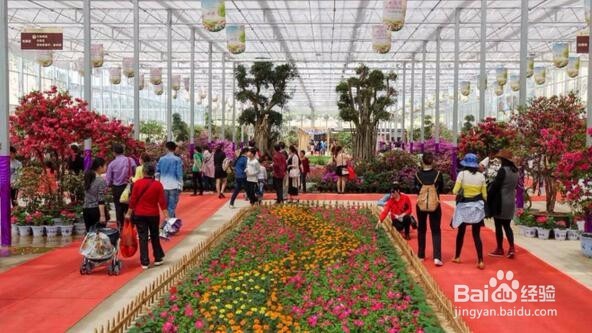 英山四季花海好玩吗四季花海旅游攻略