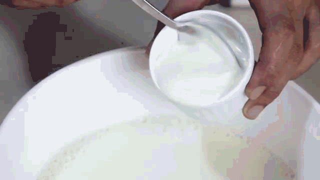 如何在家制作好喝的安慕希希腊酸奶?