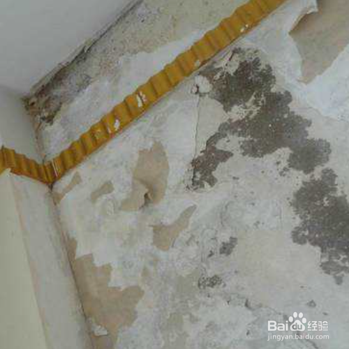 墙体发霉怎样彻底处理