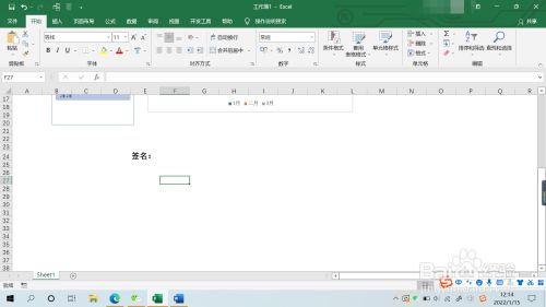 表格如何插入手写签名