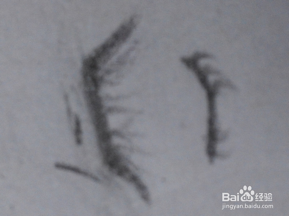 原创动漫人物的眼睛六