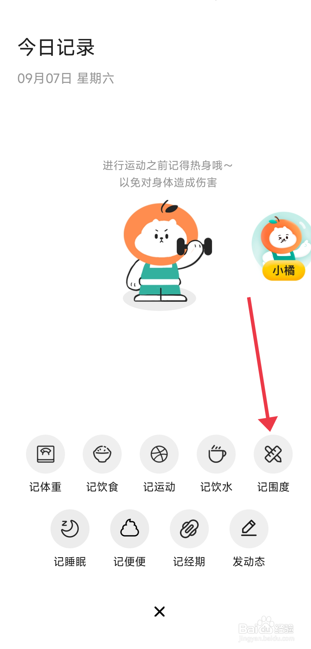 饭橘怎么记录腰围？