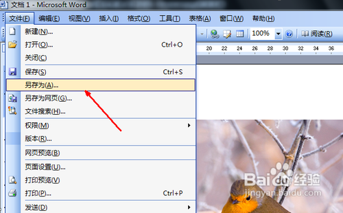 图片格式转换word格式方法