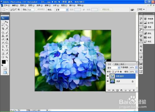 如何用PS软件设计马赛克花朵图片