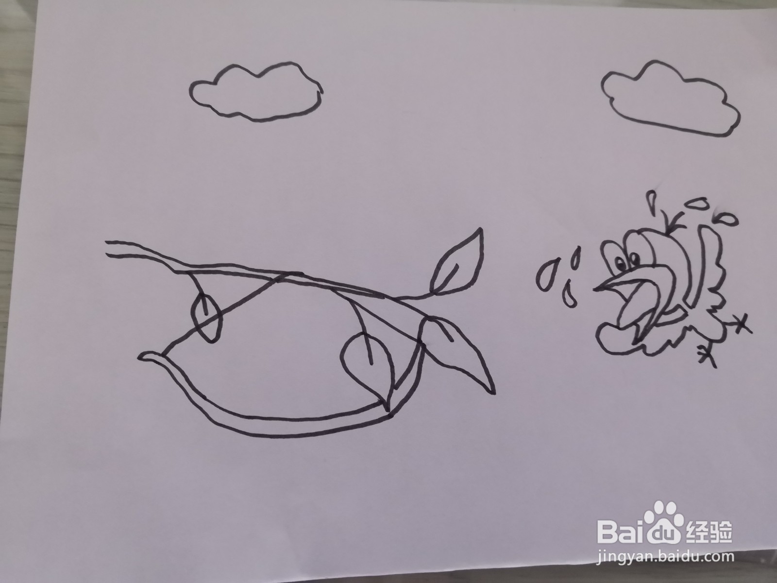 惊弓之鸟简笔画