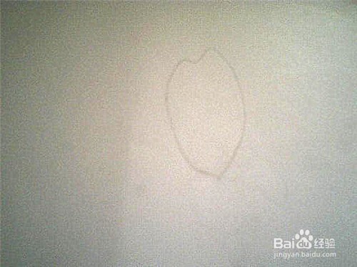简笔画杜鹃花这样画