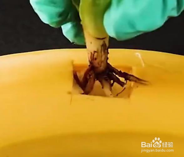 教你几个聪明小技巧,学会就不怕买不起芦荟胶啦