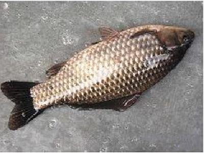 披着健康外衣的七种致命美食