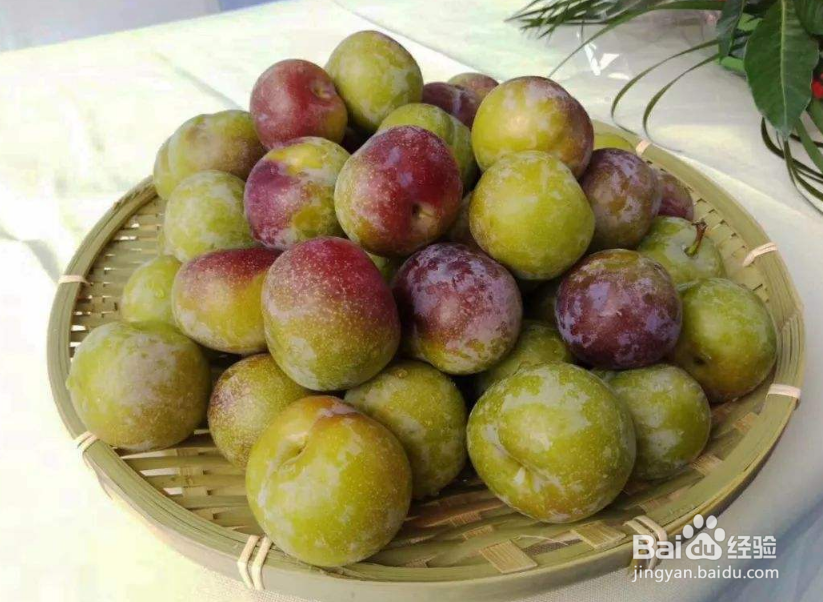 胃出血吃什么食物养胃?胃出血吃什么水果好?