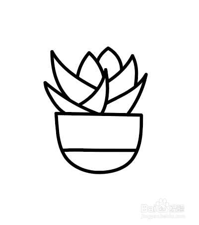 如何画出简笔画多肉