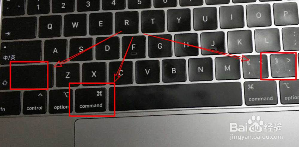 Mac 上如何隐藏和查看被隐藏的文件?