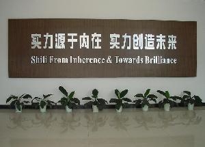 和领导沟通的技巧有哪些?