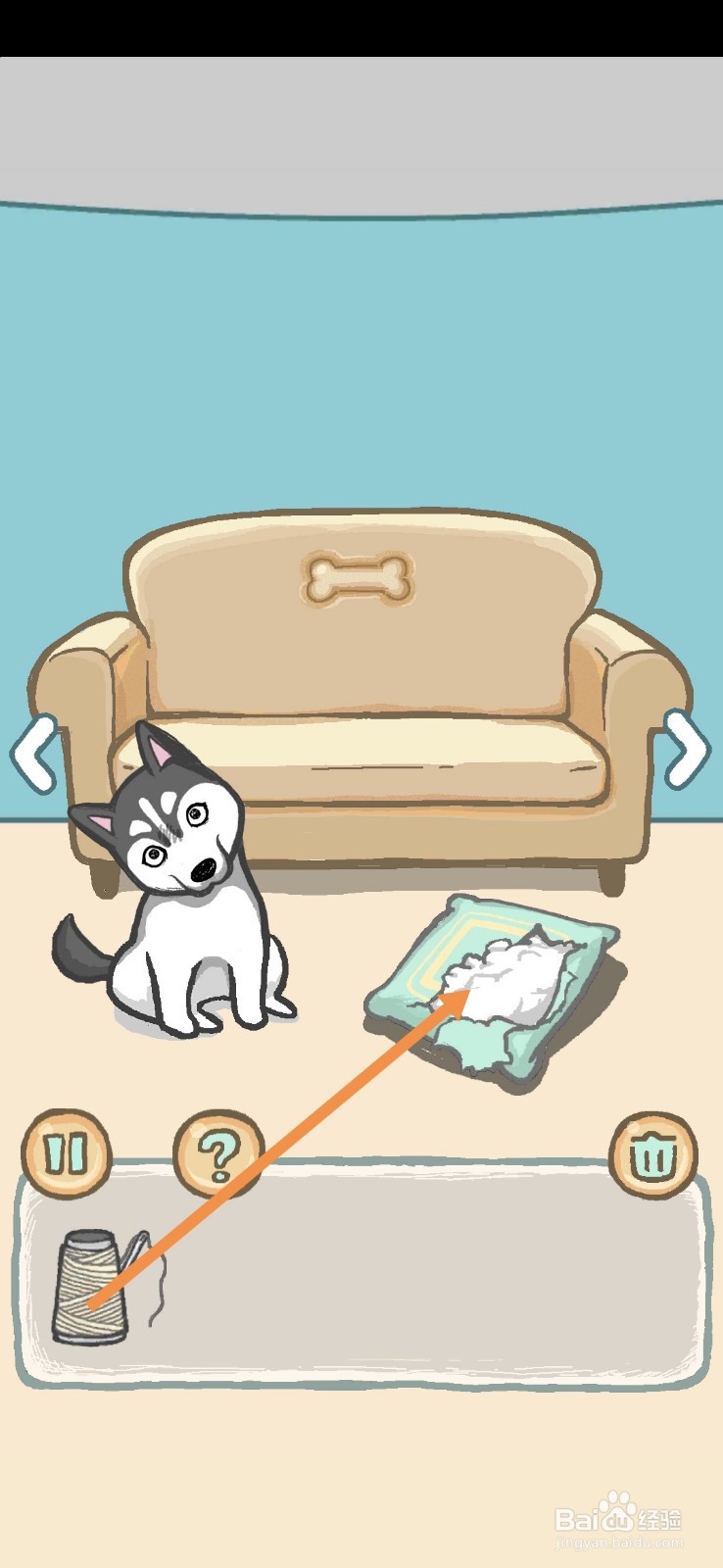 养只二哈不容易拆家并非浪得虚名1-2天怎么过关