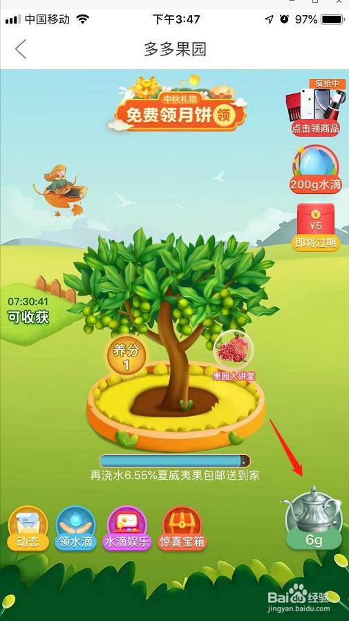 拼多多在多多果园种的水果树,果实送回来要钱吗?