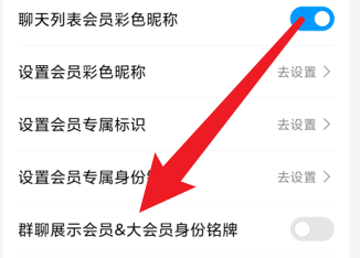 qq群聊怎么展示会员或大会员身份铭牌